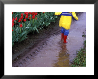 Boy Jumping Through Mud Puddles Along Tulip Fields, Willamette Valley, Oregon, Usa by Janis Miglavs Pricing Limited Edition Print image