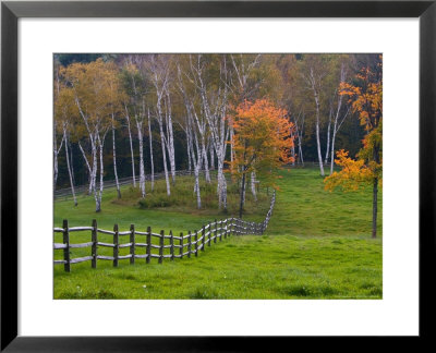 Rural Landscape, East Arlington, Vermont, Usa by Joe Restuccia Iii Pricing Limited Edition Print image