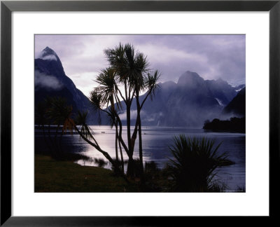 Milford Sound In Morning Mist by Holger Leue Pricing Limited Edition Print image