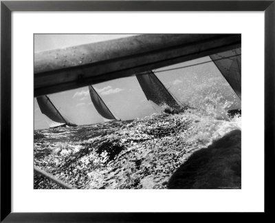 America's Cup Trial Race, Aboard Nefertiti, Which Is Leading by George Silk Pricing Limited Edition Print image