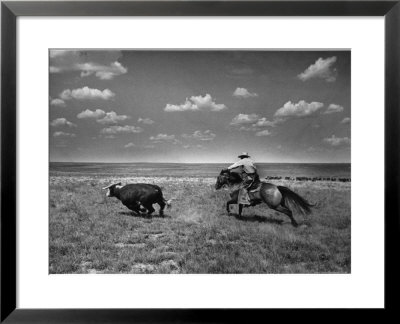 Biffin Ranch by Alfred Eisenstaedt Pricing Limited Edition Print image