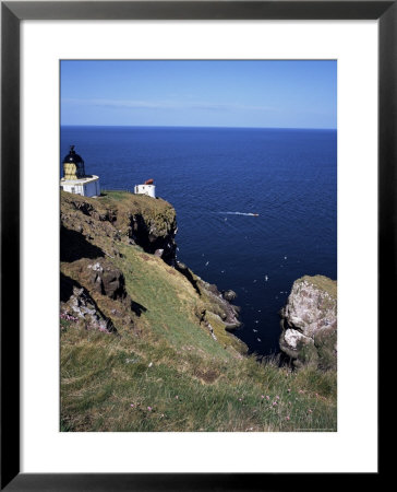 Lighthouse And Sea-Bird Cliffs, St. Abb's Head, Berwickshire, Borders, Scotland by Geoff Renner Pricing Limited Edition Print image