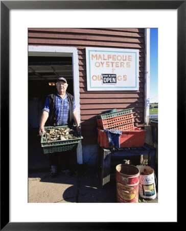 Dale Marchland Selling Malpeque Oysters, Malpeque, Prince Edward Island, Canada by Alison Wright Pricing Limited Edition Print image
