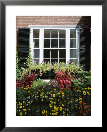 Window And Small Garden, Beacon Hill, Boston, Massachusetts, New England, Usa by Fraser Hall Pricing Limited Edition Print image