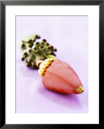 A Banana Flower by Armin Zogbaum Pricing Limited Edition Print image