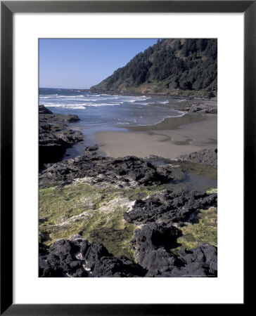 Yachats, Cape Cove, Cape Perpetua Scenic Area, Oregon, Usa by Connie Ricca Pricing Limited Edition Print image