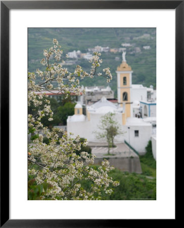 Town View, Barano D'ischia, Ischia, Bay Of Naples, Campania, Italy by Walter Bibikow Pricing Limited Edition Print image