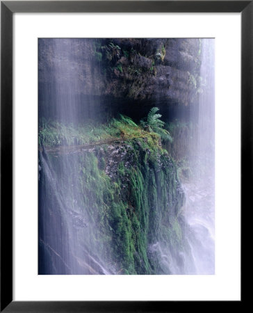 Cascading Waters Of Russell Falls, Mt. Field National Park, Tasmania, Australia by Grant Dixon Pricing Limited Edition Print image