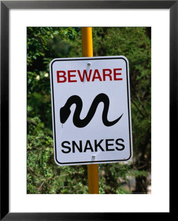 Snake Sign At Museum Of Modern Art In Heidi, Melbourne, Australia by John Banagan Pricing Limited Edition Print image