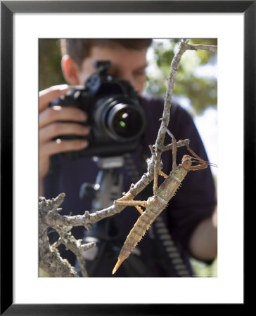 Student Shoots A New Guinea Giant Spiny Stick by Rich Reid Pricing Limited Edition Print image