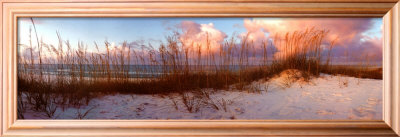 Seaside Symphony by Doug Cavanaugh Pricing Limited Edition Print image