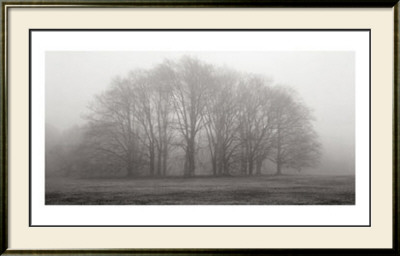 Gathering Trees by Michael Iacobellis Pricing Limited Edition Print image