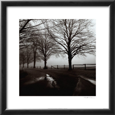 After The Rain by Howard Silverman Pricing Limited Edition Print image