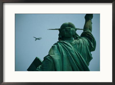 An Airplane Flies Near The Statue Of Liberty by Joel Sartore Pricing Limited Edition Print image