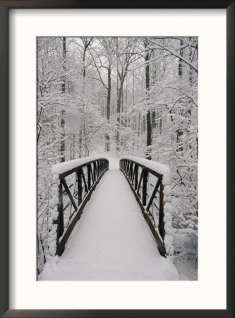 A View Of A Snow-Covered Bridge In The Woods by Richard Nowitz Pricing Limited Edition Print image