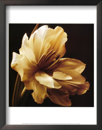 Timeless Grace I by Charles Britt Pricing Limited Edition Print image