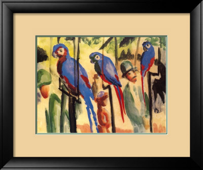 Macaws, Illustration by Auguste Macke Pricing Limited Edition Print image