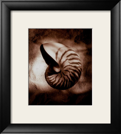 Nautilus by Laurel Wade Pricing Limited Edition Print image