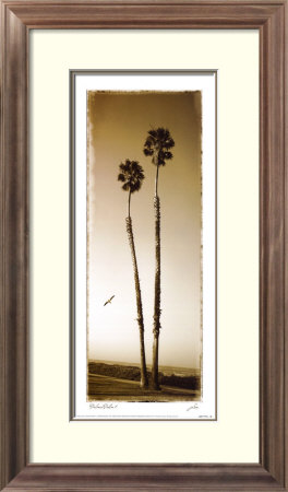 Palmae Palm I by Joson Pricing Limited Edition Print image