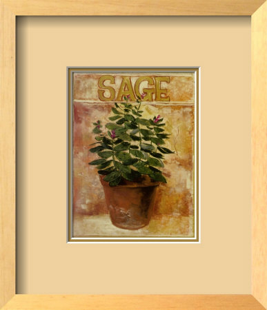 Sage by Carol Elizabeth Pricing Limited Edition Print image