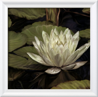 Lotus Jewel I by Jan Sacca Pricing Limited Edition Print image