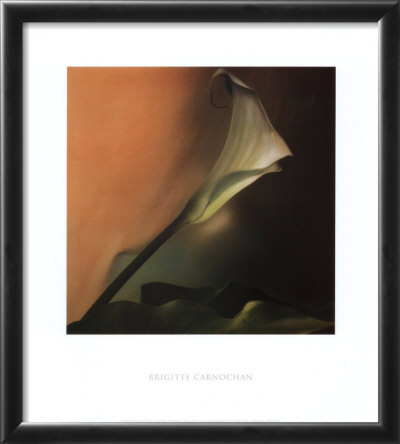 Calla Lily Iv by Carnochan Pricing Limited Edition Print image