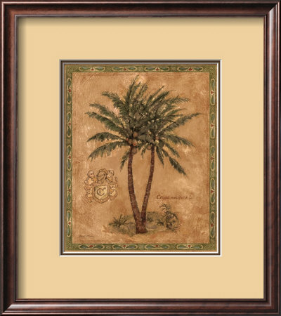 Cocos Nucifera by Betty Whiteaker Pricing Limited Edition Print image