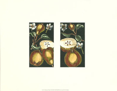 Pears I by Henri Du Monceau Pricing Limited Edition Print image