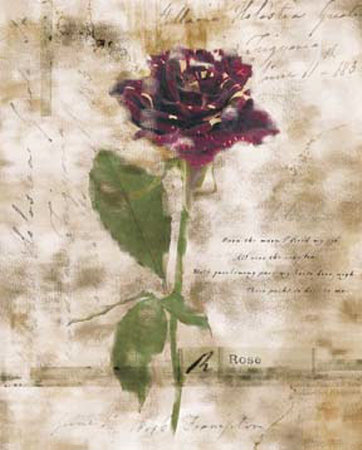 Rose Of Verona I by Melissa Mcgill Pricing Limited Edition Print image