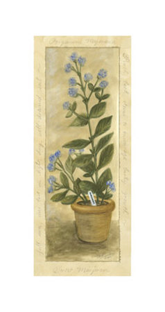 Marjoram by Tara Friel Pricing Limited Edition Print image