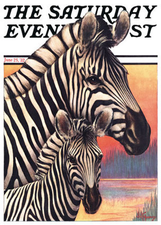 Zebras by Jack Murray Pricing Limited Edition Print image
