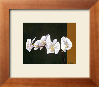 Orchid Study I by Ann Parr Pricing Limited Edition Print image