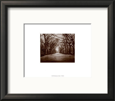 New York, New York - Central Park by Walter Gritsik Pricing Limited Edition Print image