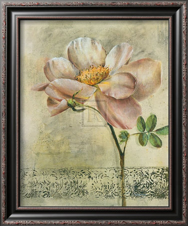 Floral Blush Iv by Dennis Carney Pricing Limited Edition Print image