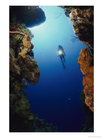 A Diver Swims Between Two Underwater Cliffs by Bill Curtsinger Pricing Limited Edition Print image