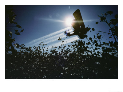 A Crop Duster Spraying A Cotton Field by Kenneth Garrett Pricing Limited Edition Print image