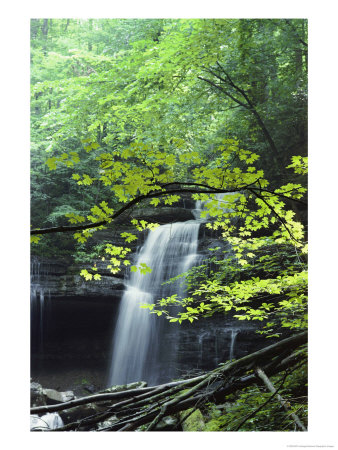 A Cascade Falls From A Rock Formation by Bill Curtsinger Pricing Limited Edition Print image
