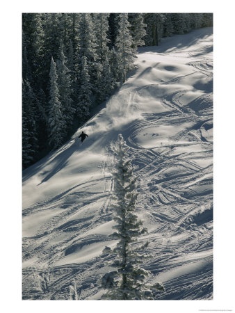 Skier On The Powder Slopes Of Aspen by Dick Durrance Pricing Limited Edition Print image