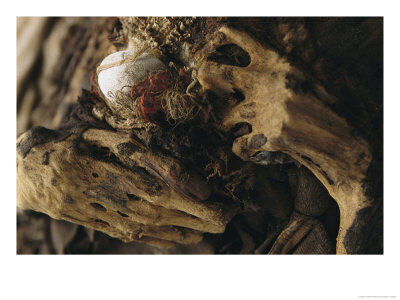 The Hands Of A Mummy Exhumed At Puruchuco-Huaquerones by Ira Block Pricing Limited Edition Print image