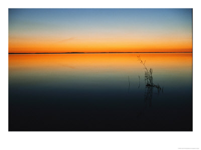 Still Waters Of Lake At Twilight, Muritz National Park, Germany by Norbert Rosing Pricing Limited Edition Print image