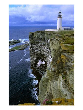 Lighthouse And Cliffs At Noup Head Rspb Reserve, Westray, Orkney Islands, Scotland by Gareth Mccormack Pricing Limited Edition Print image