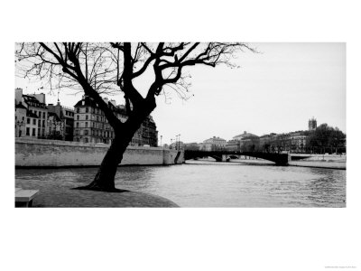 Tree, Seine River With Building, Paris, France by Eric Kamp Pricing Limited Edition Print image