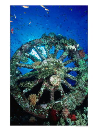 A Locomotive Wheel Is One Of The Remains Of The Wreck Of The Numidea, Sank In 1901, Egypt by Casey Mahaney Pricing Limited Edition Print image