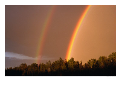 Rainbows Over Trees, Usa by Kraig Lieb Pricing Limited Edition Print image