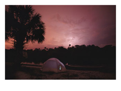 Lightning Splits The Dawn Sky Above A Campsite On The Peace River by Bill Curtsinger Pricing Limited Edition Print image