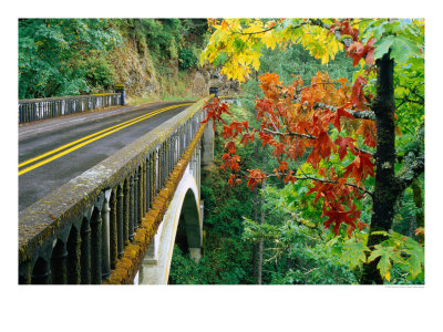 Trees In Autumn Beside Bridge Over Columbia River Gorge, Columbia, Oregon, Usa by Richard Cummins Pricing Limited Edition Print image
