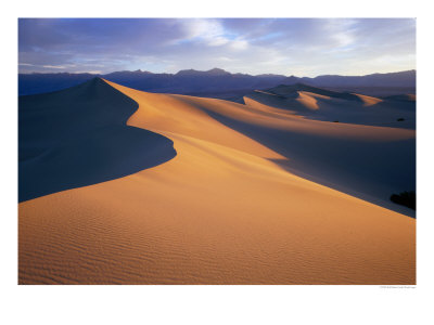 Sun And Shadows Outline Sand Dunes Near Stovepipe Wells, Death Valley National Park, California, Us by Rob Blakers Pricing Limited Edition Print image