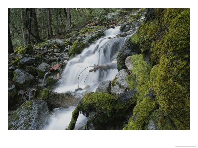 A Close View Of A Waterfall Tumbling Over Moss-Covered Rocks by Marc Moritsch Pricing Limited Edition Print image