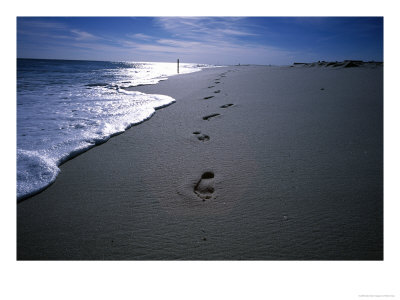 Foot Prints In Sand by Peter Ciresa Pricing Limited Edition Print image