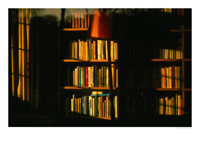 Sunlight On Bookshelves, Oxford, England by Jon Davison Pricing Limited Edition Print image